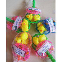 Mini Rubber Duckie Set with Tag