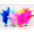 Feather Toy +S$0.80